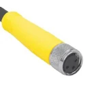 Turck Sensor Actuator Cable Female 3 way M8 to Unterminated 6 m PVC Jacket Yellow PKG 3M-6