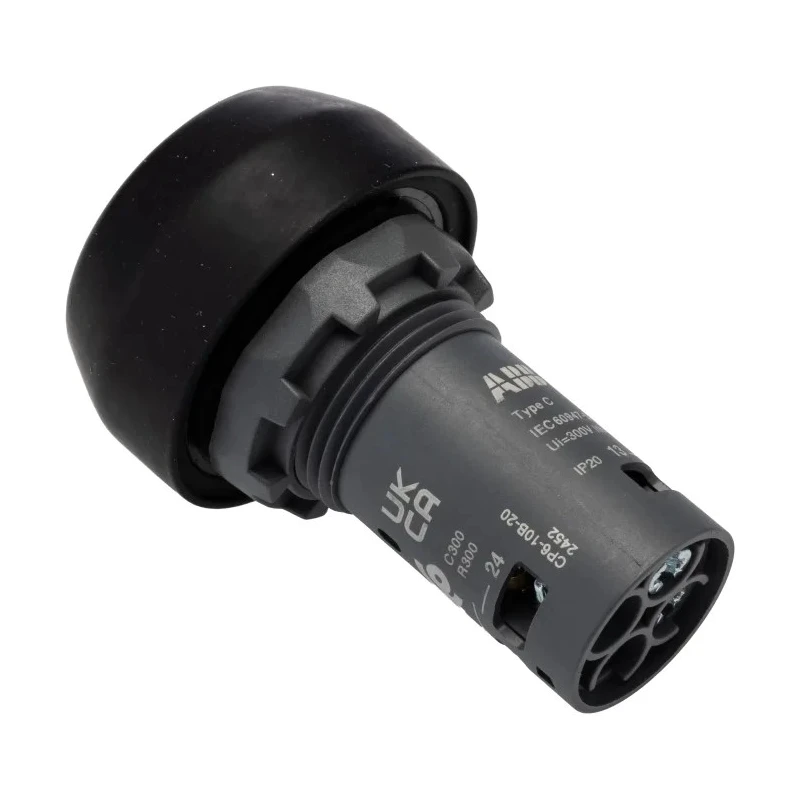 ABB Compact Series Push Button Switch Momentary Panel Mounted 22 mm Cutout 2 NO/2 NC 125 V DC 240 1SFA619105R1026 CP6-10B-20