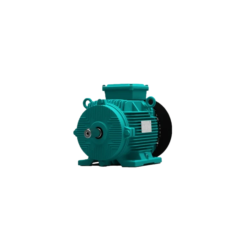 impel-1hp-4-pole-foot-mounting-ie3-induction-motor-frame-size-80-59341