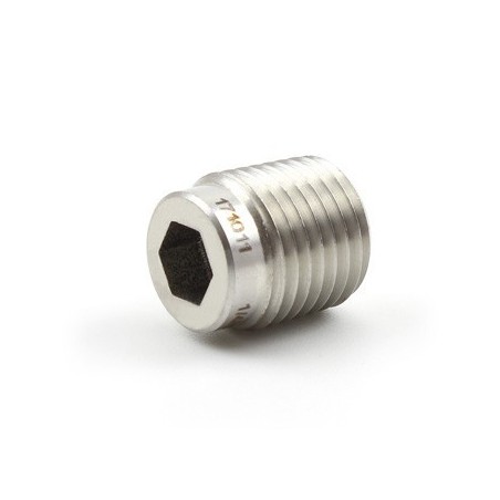 pipe-fittings-hollow-pipe-plug-size-from-1-16-to-2in-and-6-mm-to-30-mm-59367