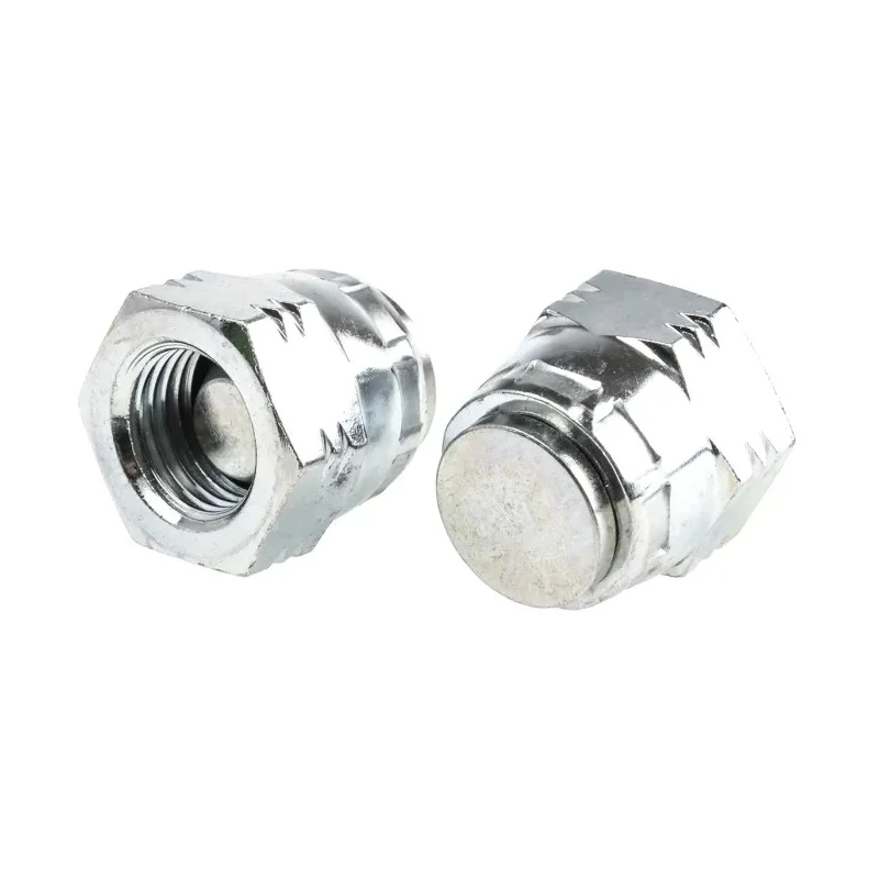 Parker Threaded Blanking Cap Zinc Plated Steel, G Thread Standard 120°C 4FNMK4S