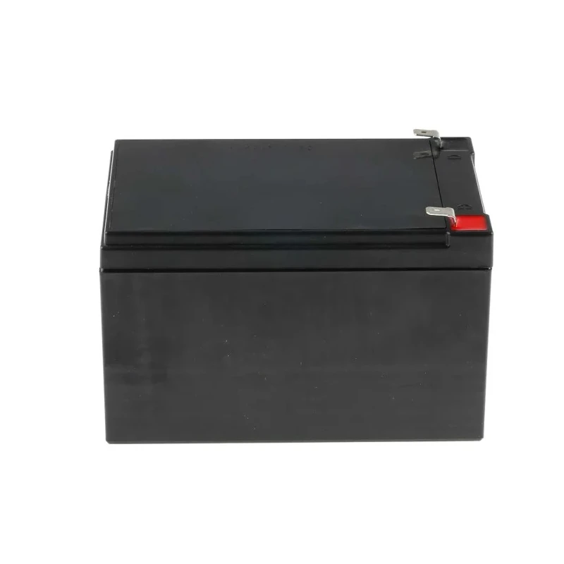 Fiamm 12 V Faston F2 Sealed Lead Acid Battery 12 Ah AGM Construction, 98mm x 100mm FG21202