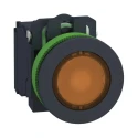 Schneider Electric XB5 Series Illuminated Push Button Switch, Spring Return, Panel Mount, 30 mm Cutout, SPDT XB5FW35M5