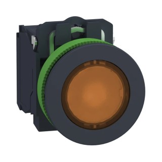 Schneider Electric XB5 Series Illuminated Push Button Switch, Spring Return, Panel Mount, 30 mm Cutout, SPDT XB5FW35M5