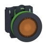 Schneider Electric XB5 Series Illuminated Push Button Switch, Spring Return, Panel Mount, 30 mm Cutout, SPDT XB5FW35M5