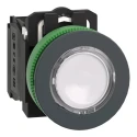 Schneider Electric Harmony Series Illuminated Push Button Switch, Spring Return, Panel Mount, 30 mm Cutout, SPDT XB5FW31B5