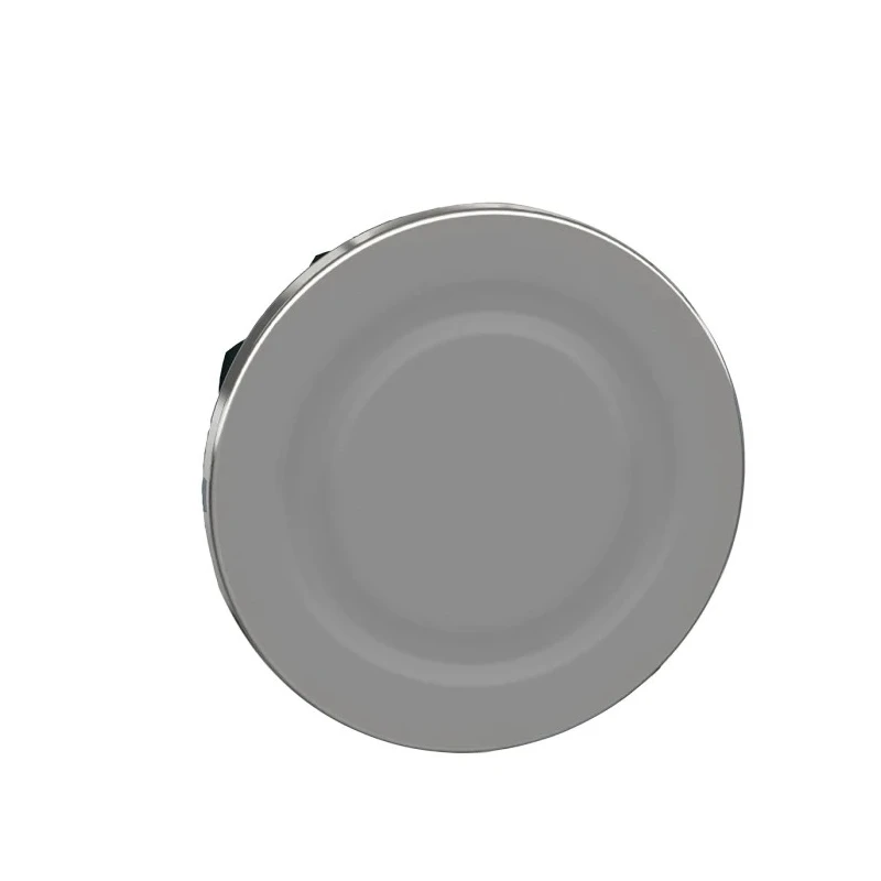 Schneider Electric Blanking Plug for Use With ZB5F and ZB4F Pushbuttons 