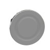 Schneider Electric Blanking Plug for Use With ZB5F and ZB4F Pushbuttons