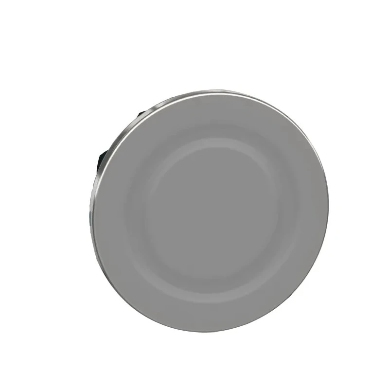 Schneider Electric Blanking Plug for Use With ZB5F and ZB4F Pushbuttons 