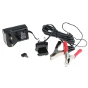 Ansmann Battery Charger ALCS 2-12/0.4 for 12V, 6V, 2V Lead Acid Batteries 400mA 100-240V AC 135g 1001-0015-UK520