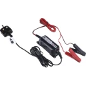 Ansmann Battery Charger ALCT 6-24/2 For 6V, 12V, 24V Lead Acid Batteries 2A Output Current 40W Power 230V AC 1001-0016-UK520