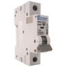 Europa Miniature Circuit Breaker 1-Pole 10A Type C 400V AC 10 kA Breaking Capacity EUC1P