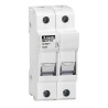 Lovato Electric 32A Rail Mount Fuse Holder for 10 x 38 mm, 2P-Pole, 690V ac FB01F1N