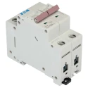 Eaton xPole Miniature Circuit Breaker, 2-Pole, 32A, Type C Tripping, 48 V DC, 10 kA Breaking Capacity 242408 PLSM-C32/2-MW