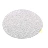 RS PRO Aluminium Oxide Abrasive Disc, 150 mm Diameter, 120 Grade, P120 Grit 188-3394