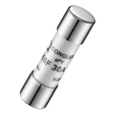 RS PRO 30A GPV Ceramic Cartridge Fuse 600V DC, 10 x 38 mm, Power Type 188-4612