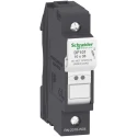 Schneider Electric 32A Rail Mount Fuse Holder 1P, Screw Terminal, DIN 35 mm Rail, 690V DF101