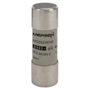 Mersen 40A GG Ceramic Cartridge Fuse, 22 x 58 mm J213609 / FR22GG69V40