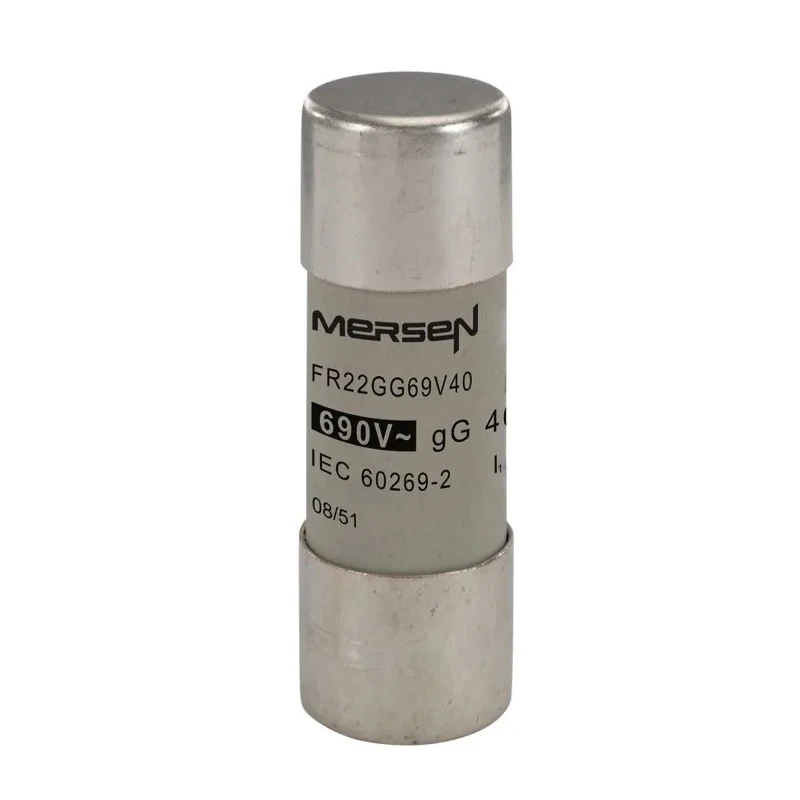 Mersen 40A GG Ceramic Cartridge Fuse, 22 x 58 mm J213609 / FR22GG69V40