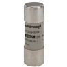 Mersen 40A GG Ceramic Cartridge Fuse, 22 x 58 mm J213609 / FR22GG69V40