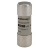 Mersen 80A GG Ceramic Cartridge Fuse, 22 x 58 mm, Super Fast Acting, 690V AC Q217180 / FR22GG69V80