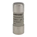 Mersen 100A GG Ceramic Cartridge Fuse 500V AC Fast Acting 22 x 58 mm E218205 / FR22GG50V100