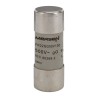 Mersen 100A GG Ceramic Cartridge Fuse 500V AC Fast Acting 22 x 58 mm E218205 / FR22GG50V100