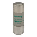 Mersen 50A AM Ceramic Cartridge Fuse 22 x 58 mm 690V AC Super Fast Acting R214122 / FR22AM69V50