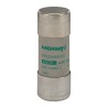 Mersen 50A AM Ceramic Cartridge Fuse 22 x 58 mm 690V AC Super Fast Acting R214122 / FR22AM69V50
