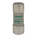 Mersen 63A GG Ceramic Cartridge Fuse 22 x 58 mm 690V AC Ferrule Fuse-Links C215650 / FR22AM69V63