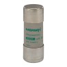 Mersen 63A GG Ceramic Cartridge Fuse 22 x 58 mm 690V AC Ferrule Fuse-Links C215650 / FR22AM69V63