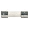 Schurter 800mA T Ceramic Cartridge Fuse, 5 x 20 mm, 300V DC, Time Delay, Ceramic Body 0001.2503