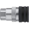 CEJN Steel Hydraulic Quick Connect Coupling Female G 1 in, 250 bar C105251209
