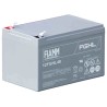 Fiamm 12 V Faston 6.3 Sealed Lead Acid Battery 12 Ah VRLA AGM Corrosion-Resistant Grid 12FGHL48