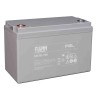 Fiamm 12 V Sealed Lead Acid Battery 100 Ah VRLA AGM Flame Resistant 172mm x 222mm 12FGL100