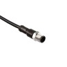 Amphenol Industrial Sensor Actuator Cable 5 Contacts M12 Male Straight to Unterminated Free End 1m SM12A-05BMMM-SL8D01