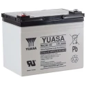 Yuasa 12 V Sealed Lead Acid Battery 36 Ah AGM Construction 130mm x 169mm REC36-12