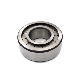 INA 50 mm Inside Diameter Roller Bearing, 110 mm Outside Diameter, Race Width 40 mm, Static Load Rating 215 kN SL192310