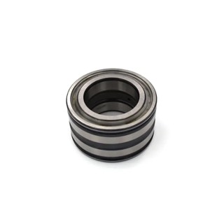 INA Dual-Row Sealed Cylindrical Roller Bearing 20 mm Inside Diameter 42 mm Outside Diameter SL045004-PP