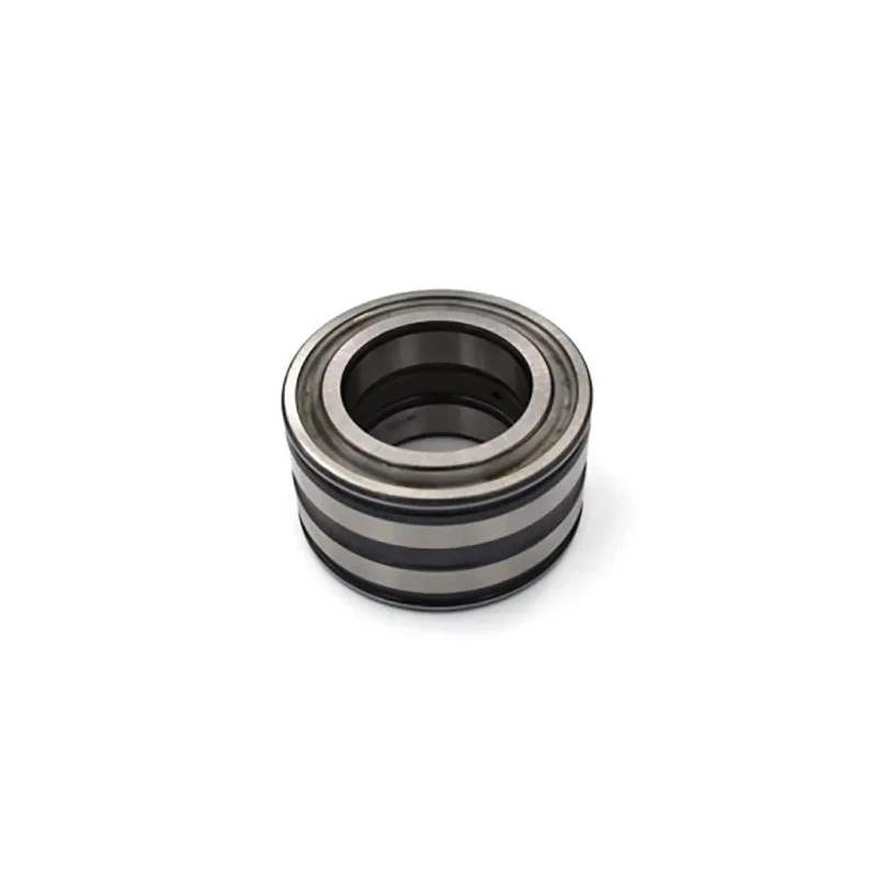 INA Dual-Row Sealed Cylindrical Roller Bearing 20 mm Inside Diameter 42 mm Outside Diameter SL045004-PP