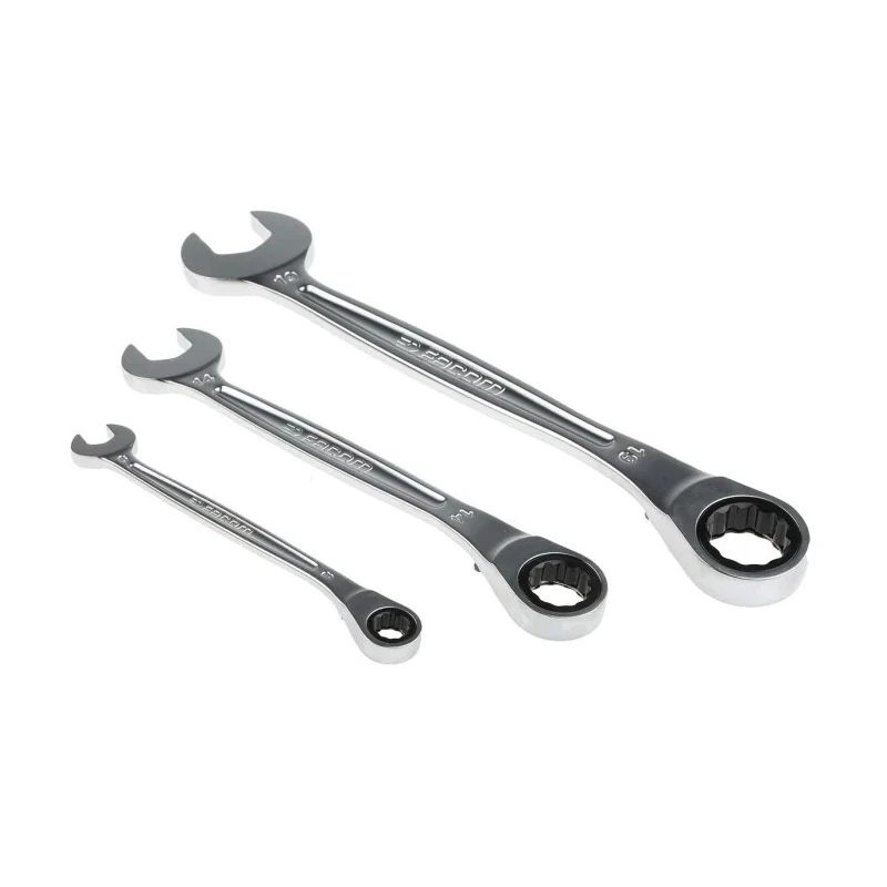 Facom 10-Piece Ratchet Spanner Set, 8 To 19 mm, Chrome Vanadium Steel 467B.JP10PB