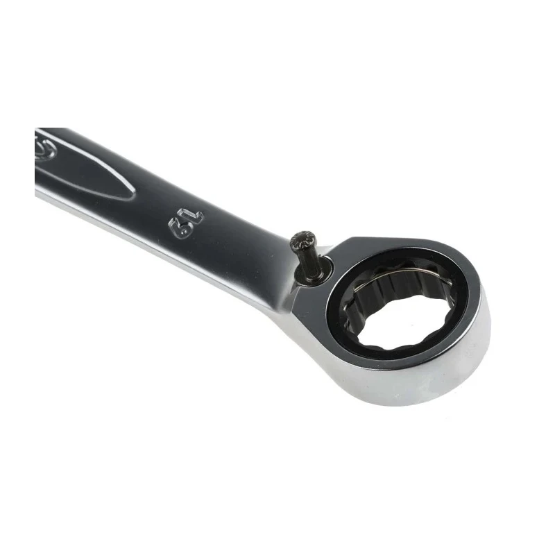 Bahco Ratchet Spanner 19 mm Metric Size, Alloy Steel, Chrome Finish, 248mm Overall Length 1RM-19