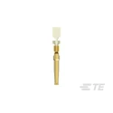 TE Connectivity FFC Series Female Crimp Terminal Gold Plated Phosphor Bronze Contact 2A 20-24 AWG 11.43mm 7-66504-0