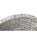 RS PRO 12V Green LED Strip, 4000K Colour Temperature, 5 m Length, 60 LEDs/m, 4.8W/m, IP65 Rated 883-7897