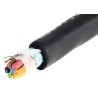 Alpha Wire Xtra-Guard 4 Performance Cable Control Cable, 6 Cores, 0.23mm² 24 AWG, Screened, 30 m, Black 45096 BK005