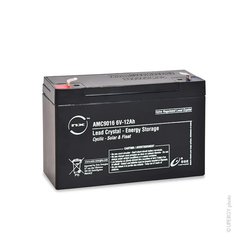 ENIX Energies Standard Sealed Lead Acid Battery 6 V 12 Ah, Lead Crystal Construction 3-CNFJ-12