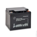 ENIX Energies Standard Sealed Lead Acid Battery, 12 V, 40 Ah Capacity, Lead Crystal Construction AMC9013