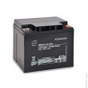 ENIX Energies Standard Sealed Lead Acid Battery, 12 V, 40 Ah Capacity, Lead Crystal Construction AMC9013
