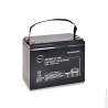 ENIX Energies Standard Sealed Lead Acid Battery 12 V 70 Ah Lead Crystal Construction AMC9005