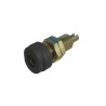 Hirschmann Test & Measurement Black Female Banana Socket 4 mm Connector 60V DC 16A Gold Plating 930175700